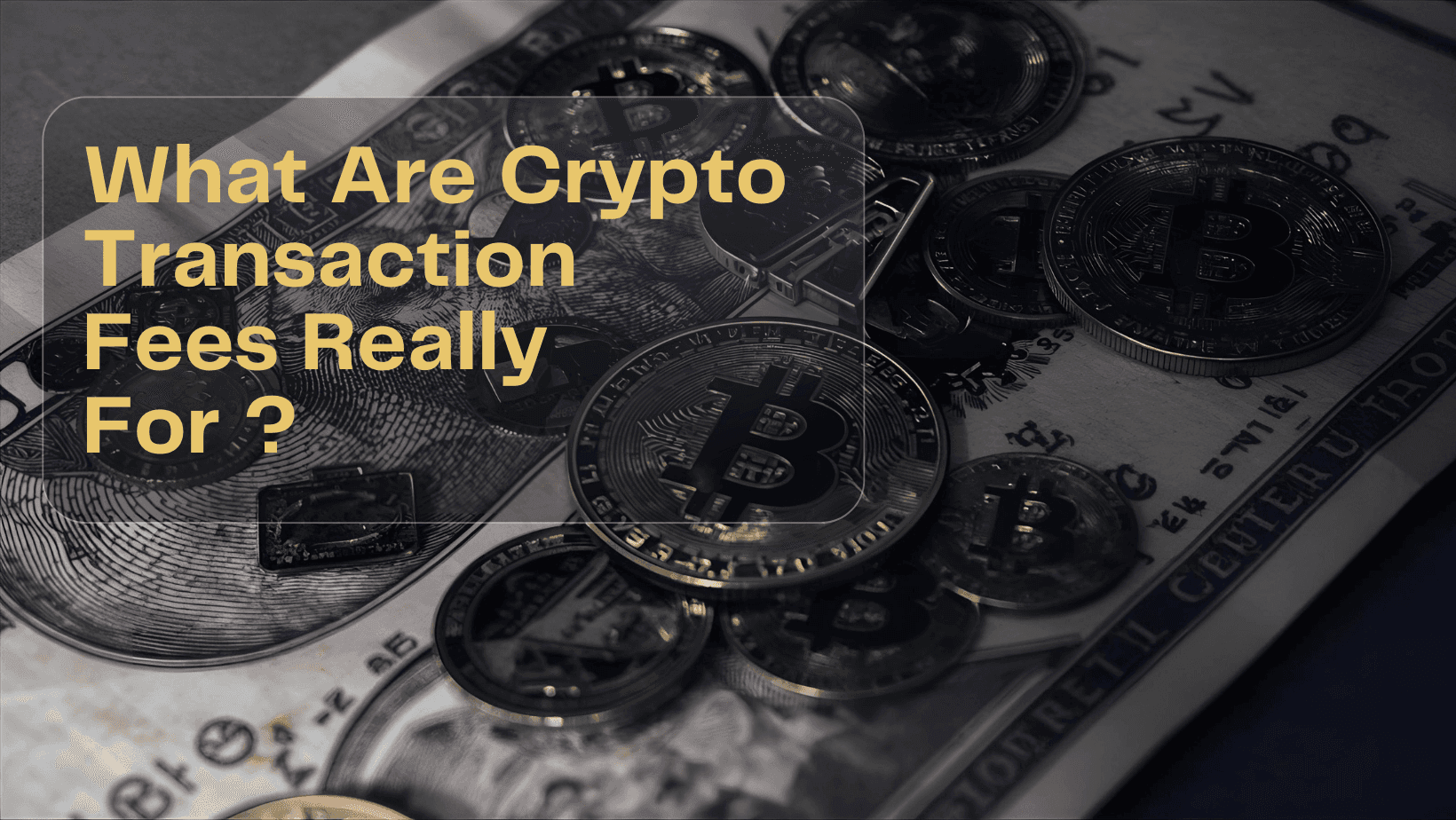 What Are Crypto Transaction Fees Really For?