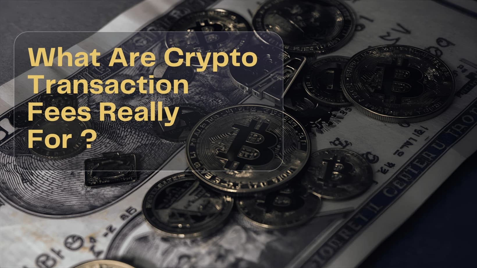 What Are Crypto Transaction Fees Really For? | Blog Exceefy Image de couverture : What Are Crypto Transaction Fees Really For? - Article Exceefy